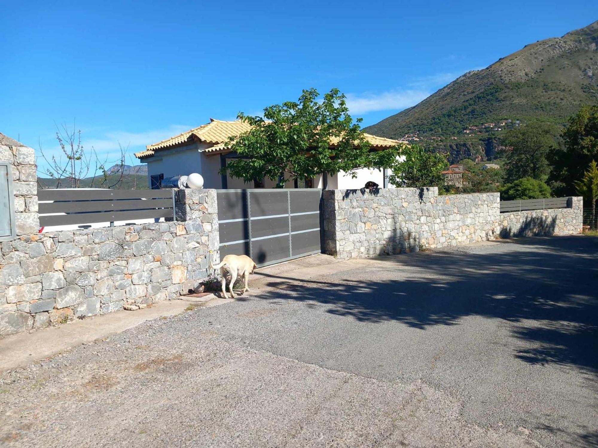 Dimitris Home Exochori Exterior photo